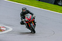 PJ-Motorsport-Photography-2020;anglesey;brands-hatch;cadwell-park;croft;donington-park;enduro-digital-images;event-digital-images;eventdigitalimages;mallory;no-limits;oulton-park;peter-wileman-photography;racing-digital-images;silverstone;snetterton;trackday-digital-images;trackday-photos;vmcc-banbury-run;welsh-2-day-enduro